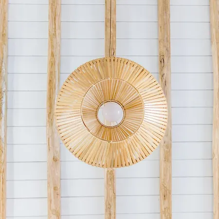 Pineapple House Mykonos Tatil Evi