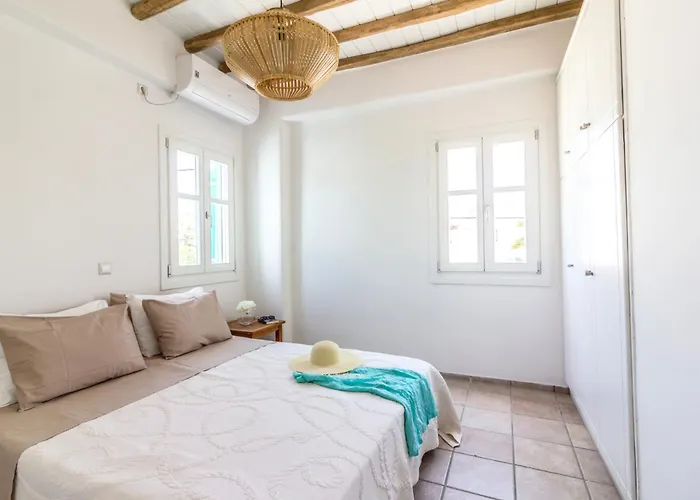 Pineapple House Mykonos 別荘 *